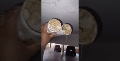 Atasco en bidé por restos de cal y jabón
