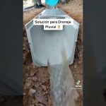 Bajante comunitaria con evacuación deficiente