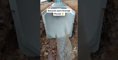 Bajante comunitaria con evacuación deficiente