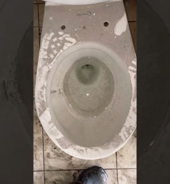 Inodoro con subida de nivel sin llegar a desbordar