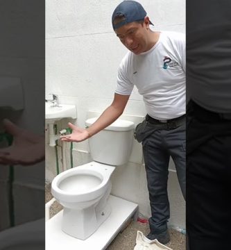 Inodoro que se vacía lentamente sin llegar a atascarse